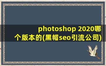 photoshop 2020哪个版本的(黑帽seo引流公司)